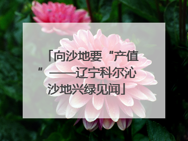 向沙地要“产值”——辽宁科尔沁沙地兴绿见闻