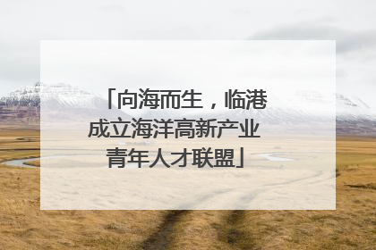 向海而生，临港成立海洋高新产业青年人才联盟
