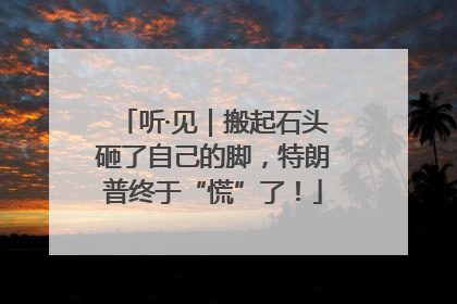 听·见｜搬起石头砸了自己的脚，特朗普终于“慌”了！