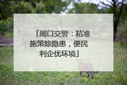 周口交警：精准施策除隐患，便民利企优环境