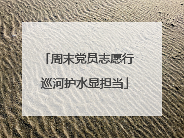 周末党员志愿行 巡河护水显担当