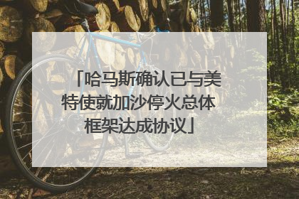 哈马斯确认已与美特使就加沙停火总体框架达成协议