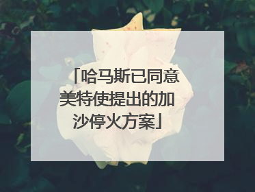哈马斯已同意美特使提出的加沙停火方案