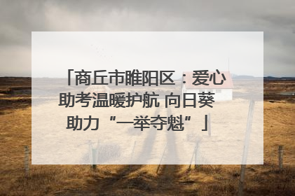 商丘市睢阳区：爱心助考温暖护航 向日葵助力“一举夺魁”