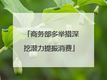 商务部多举措深挖潜力提振消费