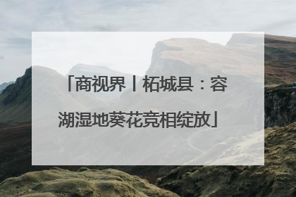 商视界丨柘城县：容湖湿地葵花竞相绽放