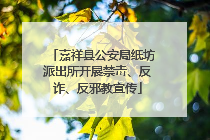 嘉祥县公安局纸坊派出所开展禁毒、反诈、反邪教宣传