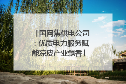 国网焦供电公司：优质电力服务赋能凉皮产业飘香