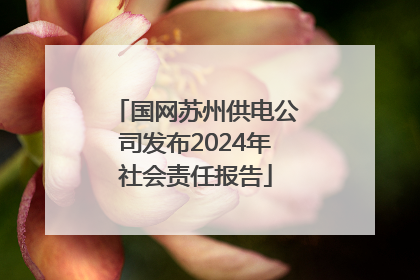 国网苏州供电公司发布2024年社会责任报告