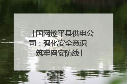 国网遂平县供电公司：强化安全意识 筑牢网安防线