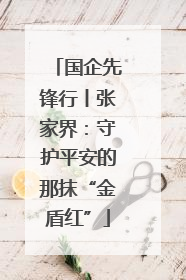 国企先锋行丨张家界：守护平安的那抹“金盾红”