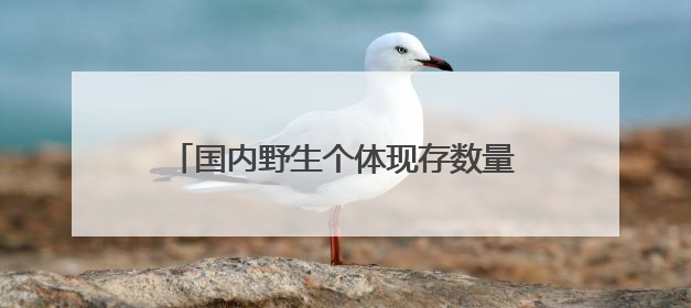 国内野生个体现存数量比大熊猫更为稀少！扬州首次发现“国宝”彩鹮