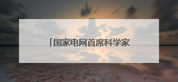 国家电网首席科学家郑玉平：40年守护电网“第一道防线”