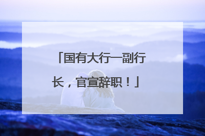 国有大行一副行长，官宣辞职！