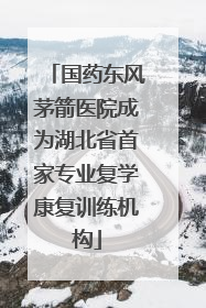 国药东风茅箭医院成为湖北省首家专业复学康复训练机构