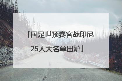 国足世预赛客战印尼25人大名单出炉