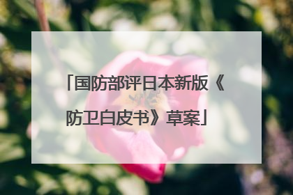国防部评日本新版《防卫白皮书》草案