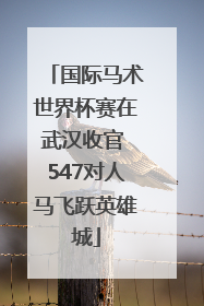 国际马术世界杯赛在武汉收官 547对人马飞跃英雄城