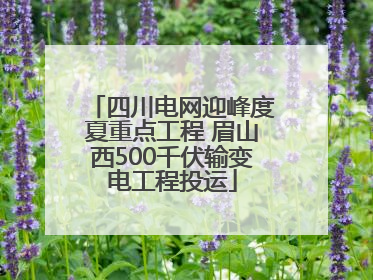 四川电网迎峰度夏重点工程 眉山西500千伏输变电工程投运