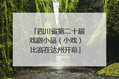 四川省第二十届戏剧小品（小戏）比赛在达州开幕