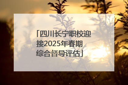 四川长宁职校迎接2025年春期综合督导评估