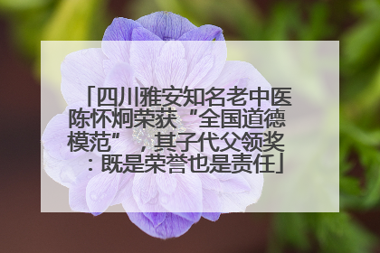 四川雅安知名老中医陈怀炯荣获“全国道德模范”，其子代父领奖：既是荣誉也是责任