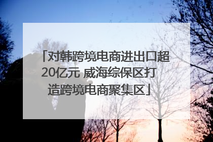 对韩跨境电商进出口超20亿元 威海综保区打造跨境电商聚集区