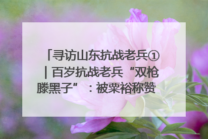 寻访山东抗战老兵①｜百岁抗战老兵“双枪滕黑子”：被粟裕称赞的“孤胆英雄”