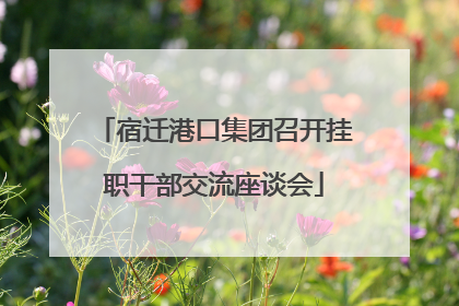 宿迁港口集团召开挂职干部交流座谈会
