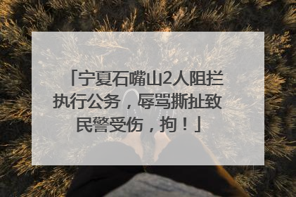 宁夏石嘴山2人阻拦执行公务，辱骂撕扯致民警受伤，拘！