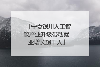 宁夏银川人工智能产业升级带动就业增长超千人