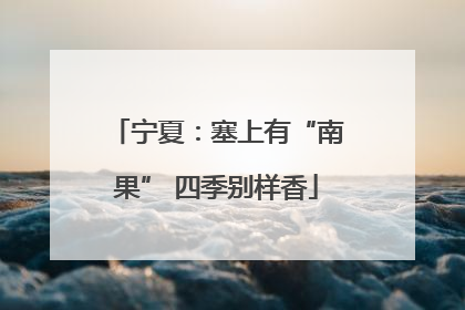 宁夏：塞上有“南果” 四季别样香