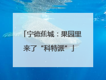 宁德蕉城：果园里来了“科特派”