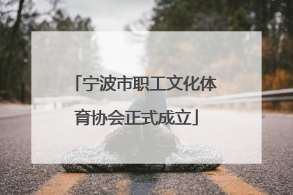 宁波市职工文化体育协会正式成立