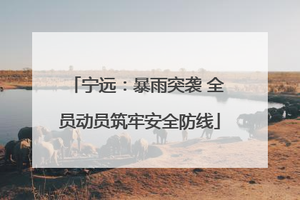 宁远：暴雨突袭 全员动员筑牢安全防线