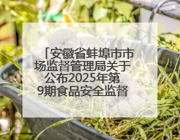 安徽省蚌埠市市场监督管理局关于公布2025年第9期食品安全监督抽检信息的通告