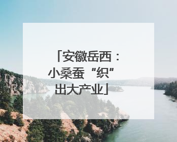 安徽岳西：小桑蚕“织”出大产业