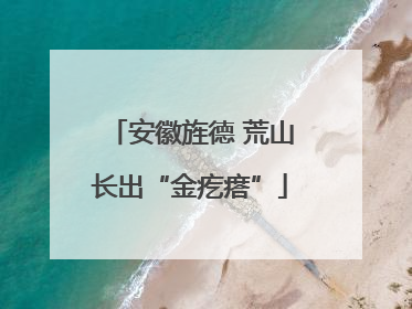 安徽旌德 荒山长出“金疙瘩”