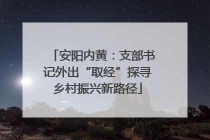 安阳内黄：支部书记外出“取经”探寻乡村振兴新路径