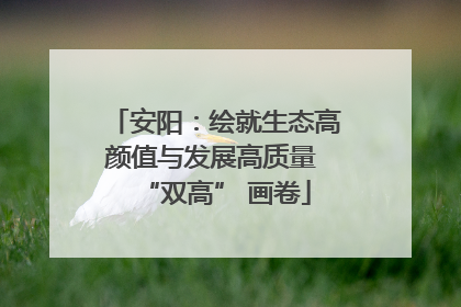 安阳：绘就生态高颜值与发展高质量 “双高” 画卷
