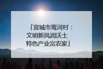 宜城市莺河村：文明新风润沃土 特色产业富农家
