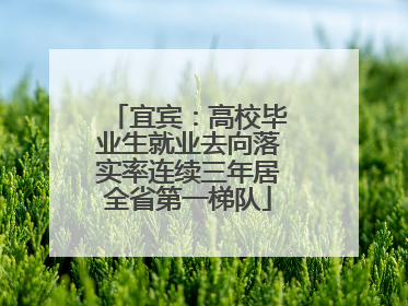 宜宾：高校毕业生就业去向落实率连续三年居全省第一梯队