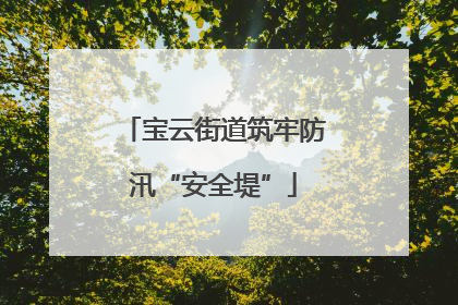 宝云街道筑牢防汛“安全堤”