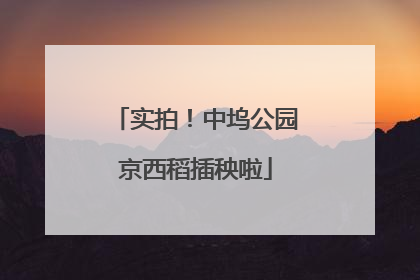实拍！中坞公园京西稻插秧啦