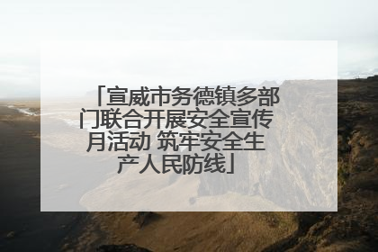 宣威市务德镇多部门联合开展安全宣传月活动 筑牢安全生产人民防线