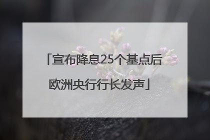 宣布降息25个基点后 欧洲央行行长发声