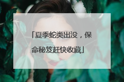 夏季蛇类出没，保命秘笈赶快收藏
