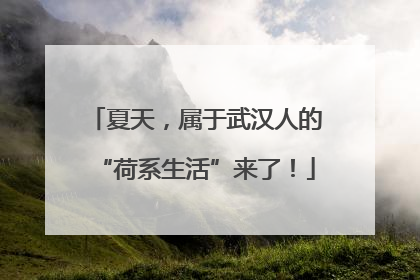 夏天，属于武汉人的“荷系生活”来了！