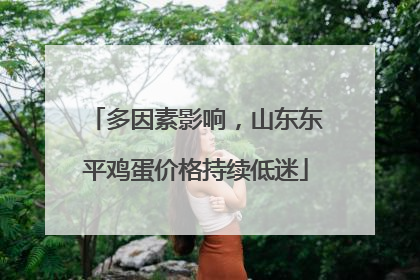 多因素影响，山东东平鸡蛋价格持续低迷