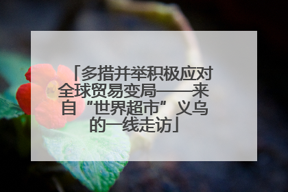 多措并举积极应对全球贸易变局——来自“世界超市”义乌的一线走访